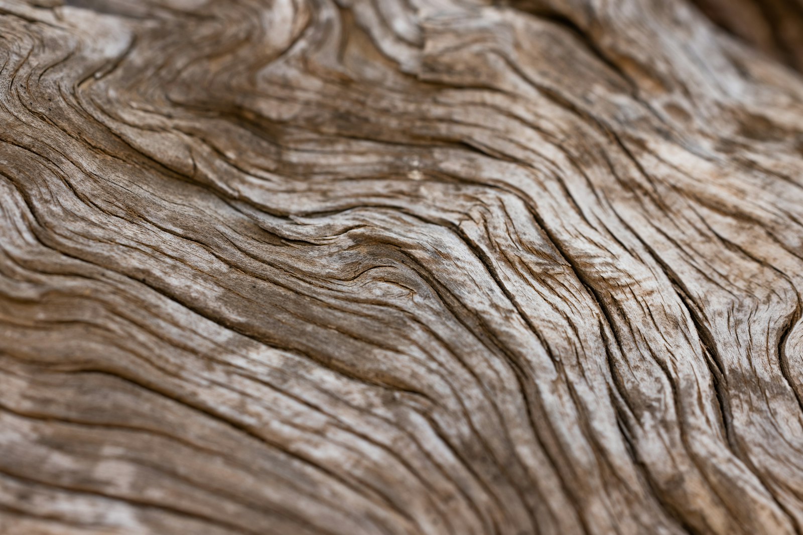 Close-up of wood plank grain and edge